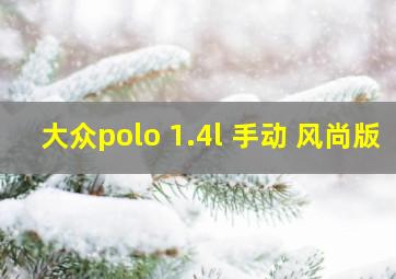 大众polo 1.4l 手动 风尚版